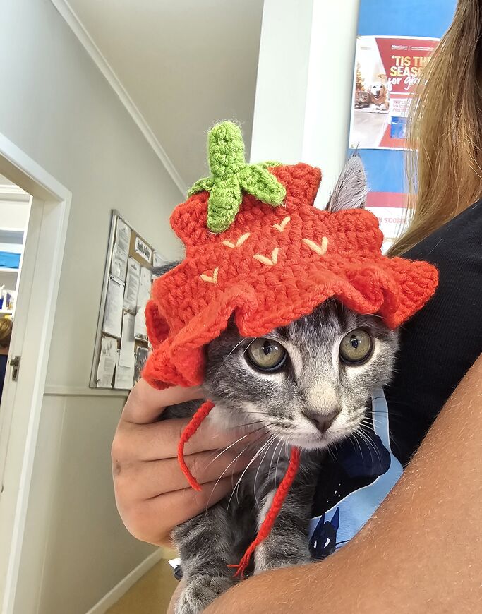 Pet Newsletter Feb/March 2025