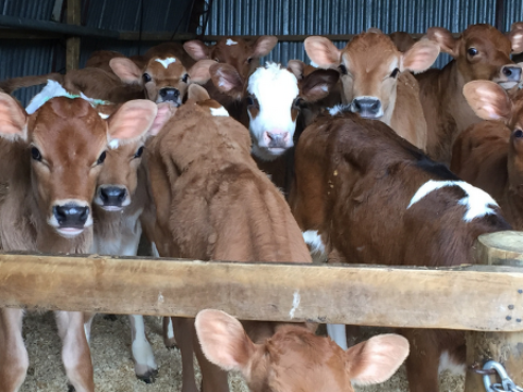 Farm Newsletter Aug/Sept 2026