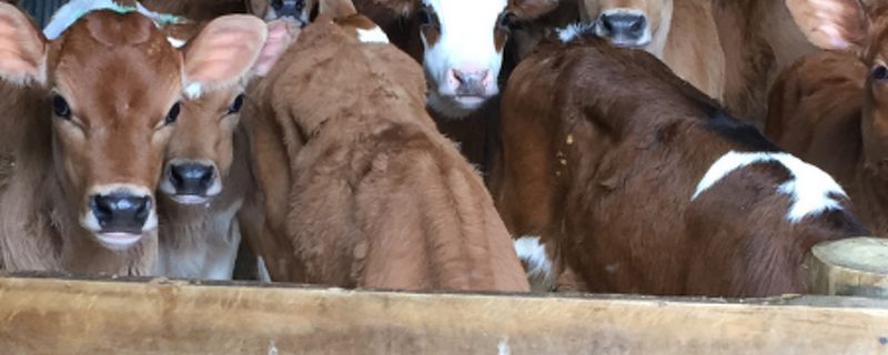 Farm Newsletter Aug/Sept 2026