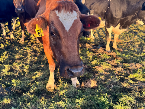 Farm Newsletter Aug/Sept 2025 