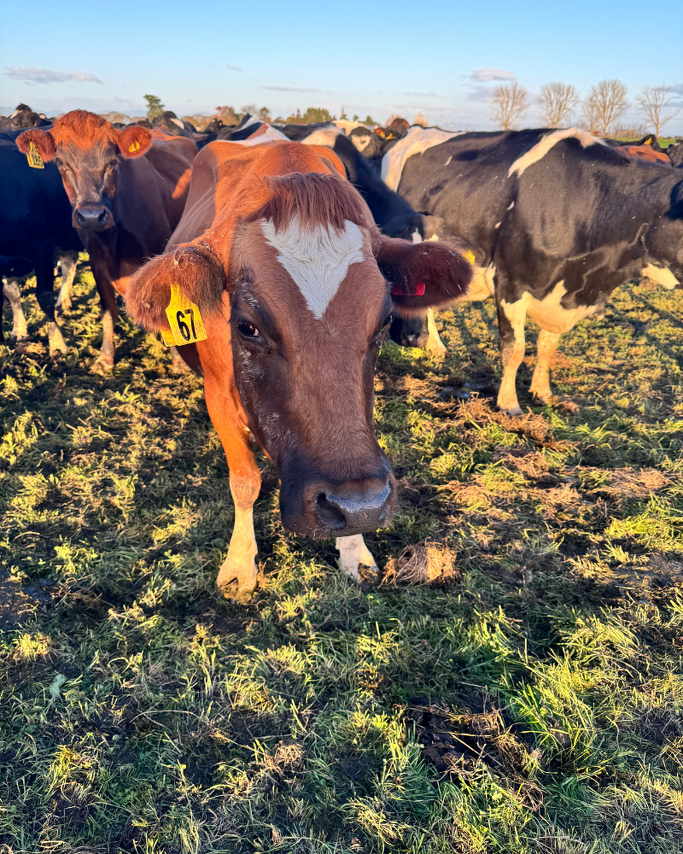 Farm Newsletter Aug/Sept 2025 