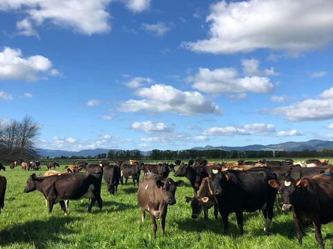 Farm Newsletter April/May 2025