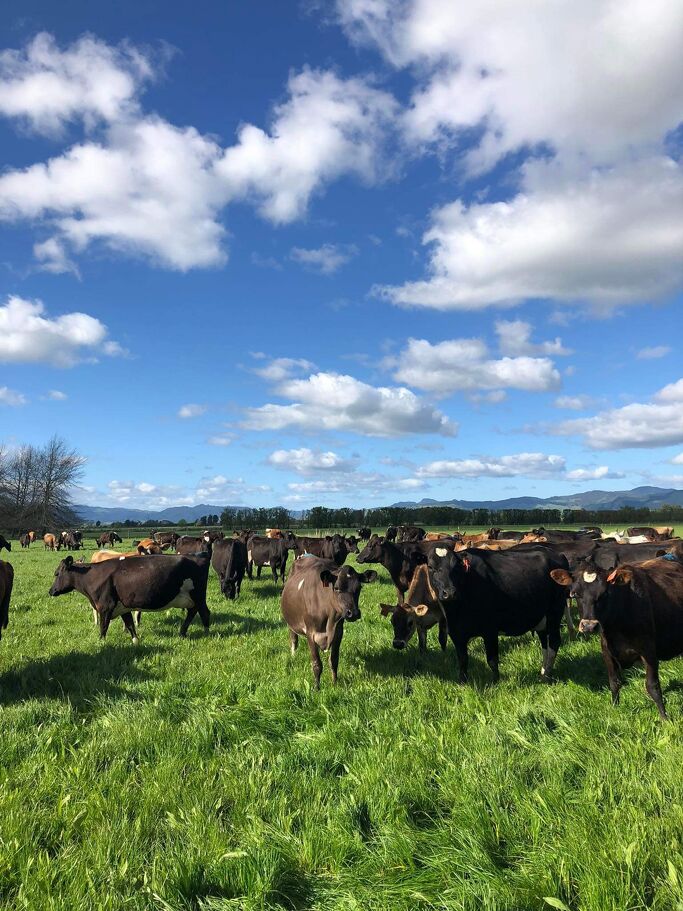 Farm Newsletter April/May 2025