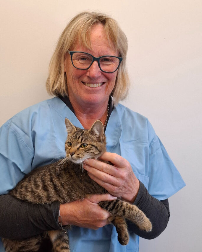 Dr Sue Crow