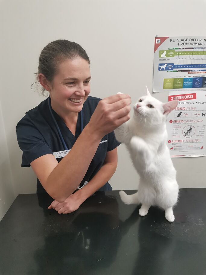 Dr Emily Buswell