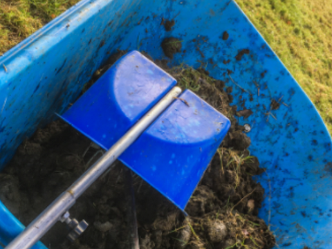 Deworming in horses: What every owner should know