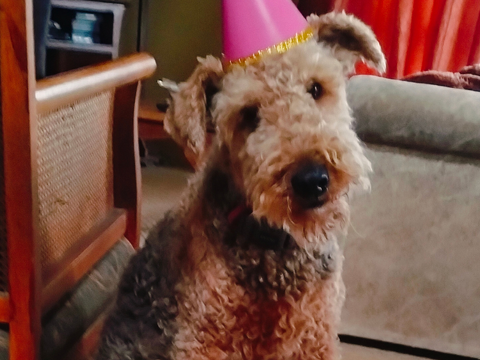 Pet Newsletter Oct/Nov 2025