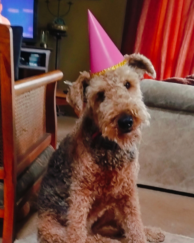 Pet Newsletter Oct/Nov 2025