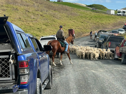 Farm Newsletter June/July 2025