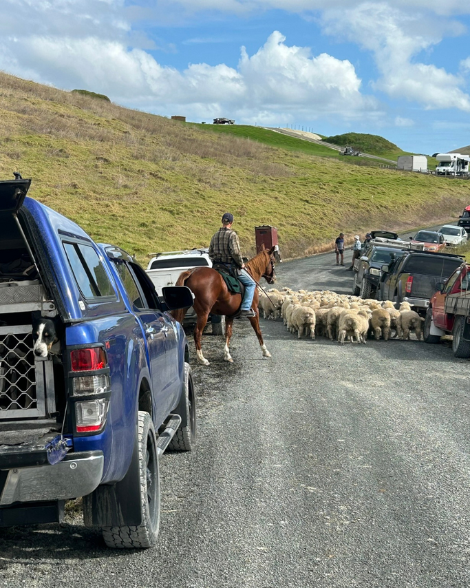 Farm Newsletter June/July 2025