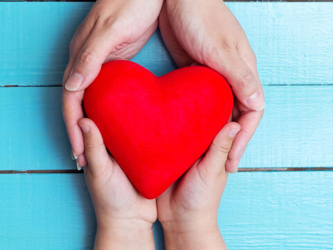 Hands holding a heart