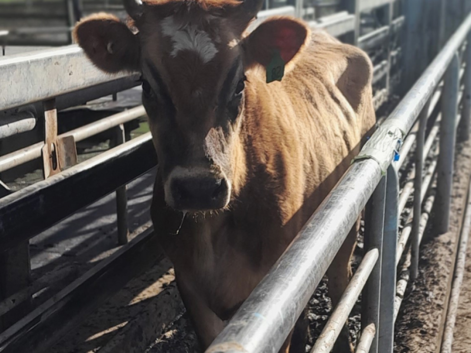 On Farm News - August/September 2023