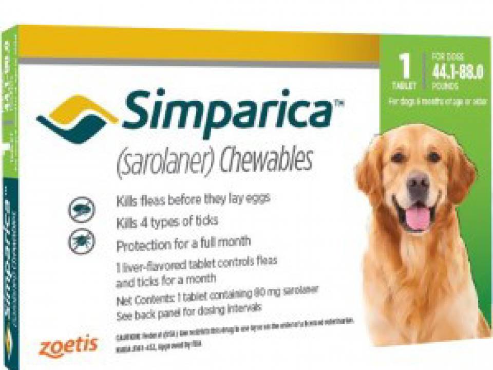 Flea & Tick Control – Simparica & Bravecto