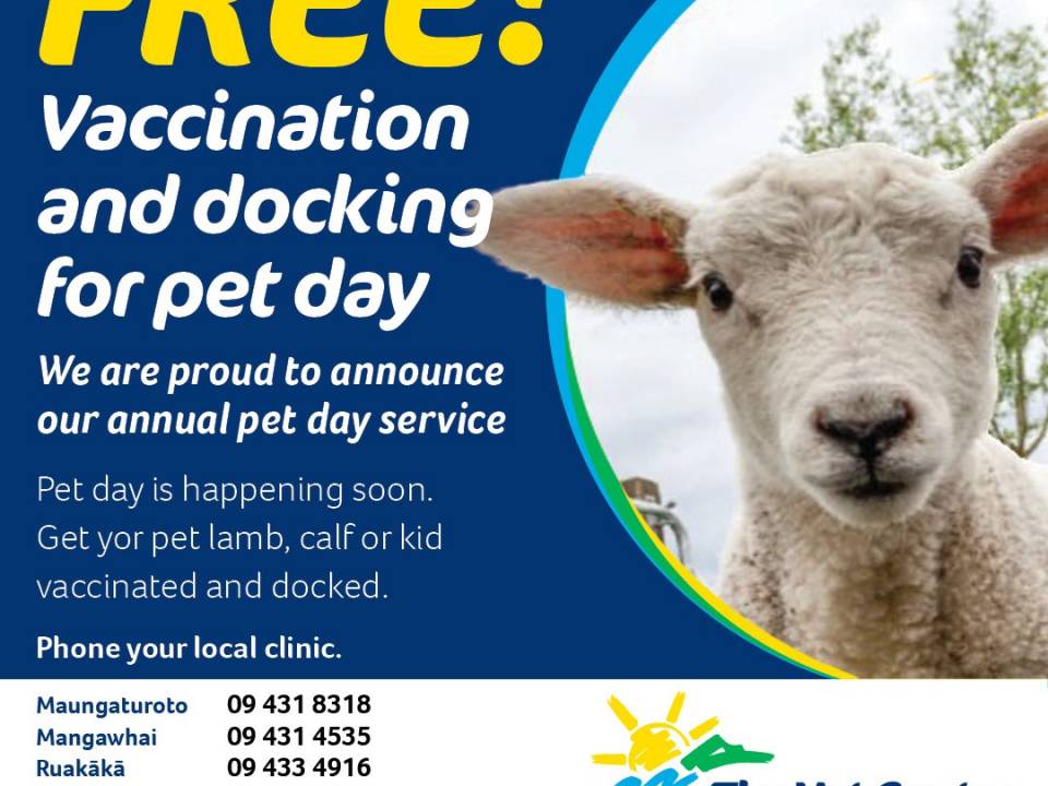 Free vaccination and docking for pet day