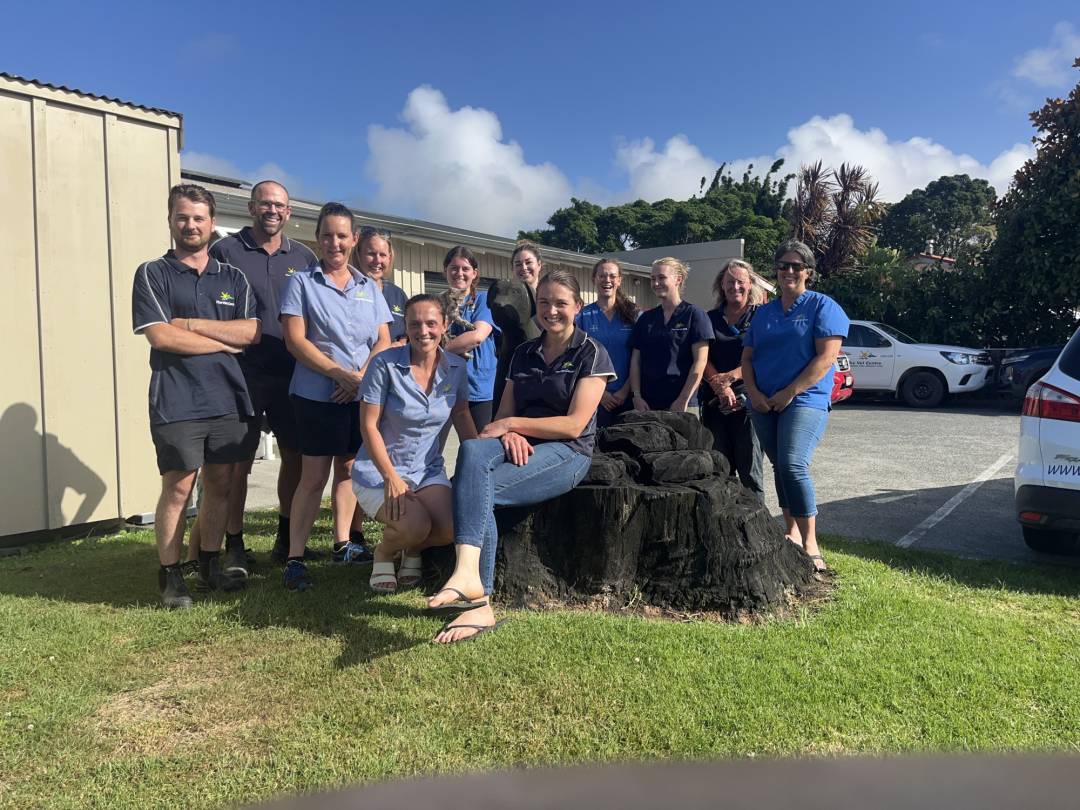 The Vet Centre Waipu Team Photo