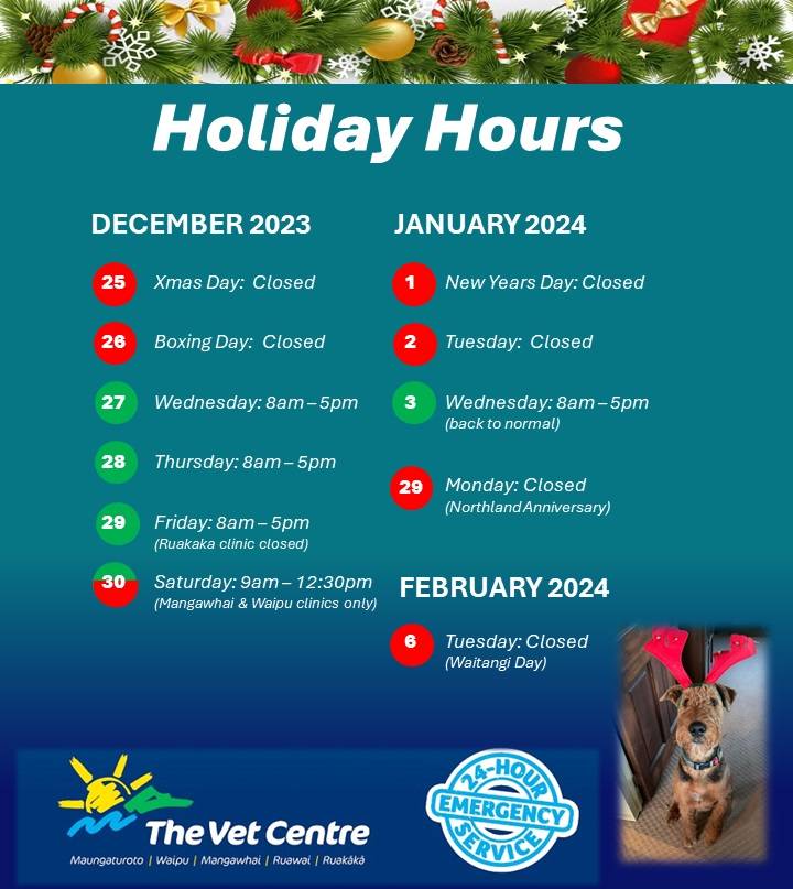 Our Christmas Hours 2023