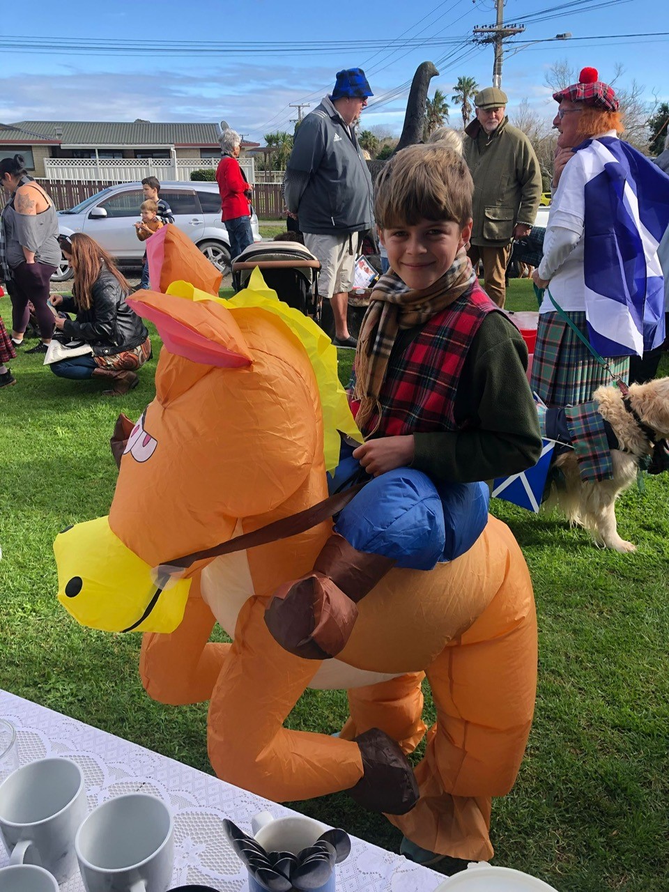 Tartan Pet Parade