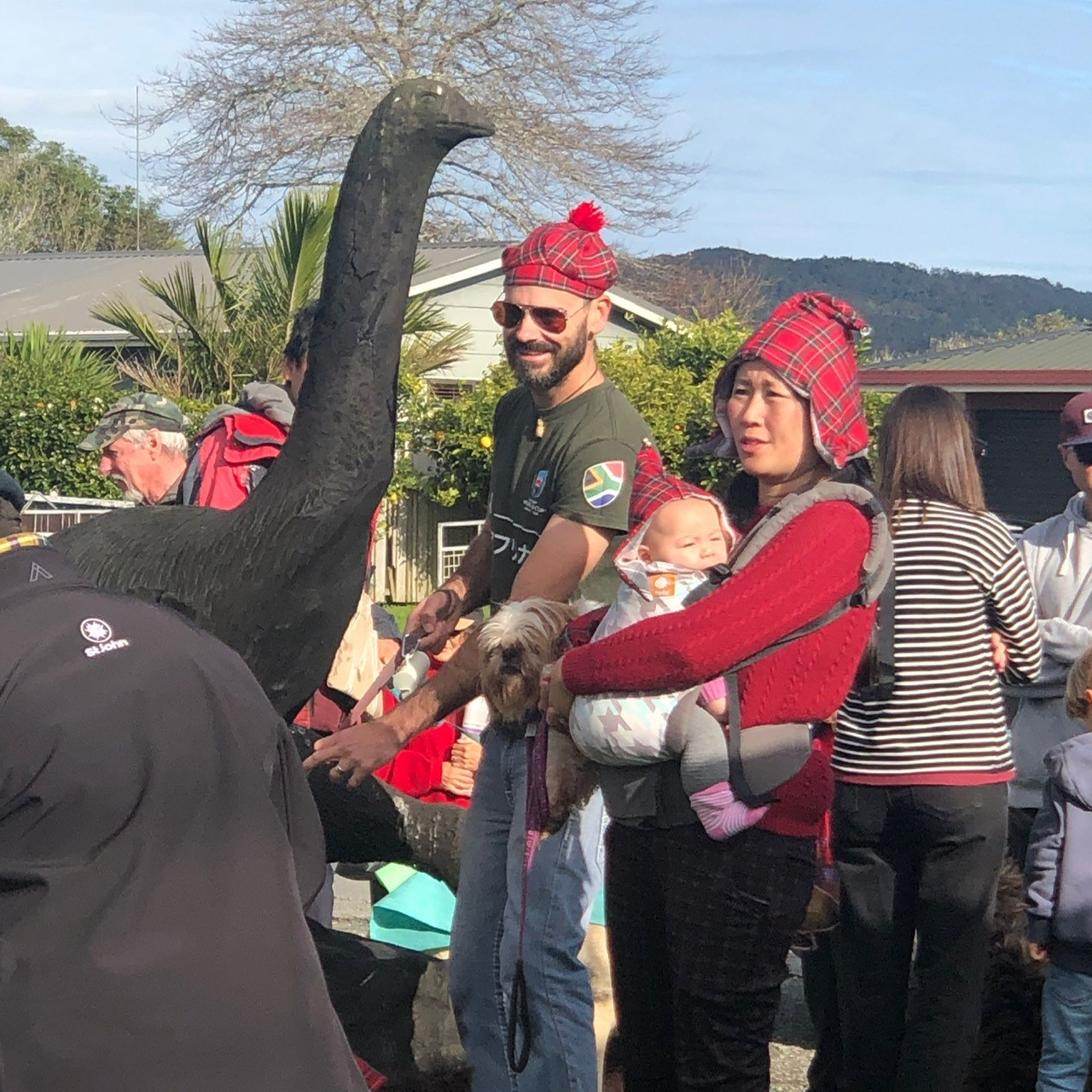 Tartan Pet Parade