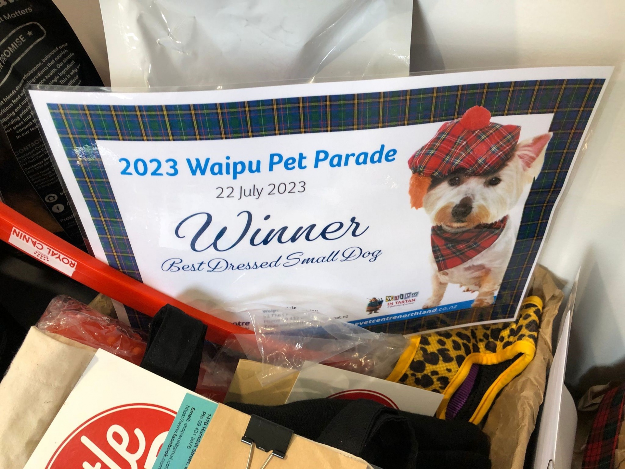 Tartan Pet Parade